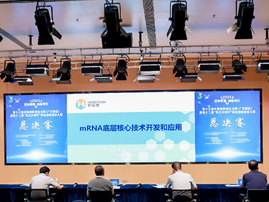 3377体育入口荣获第十三届中国创新创业大赛（广东赛区）二等奖